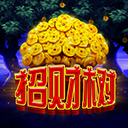 招财树